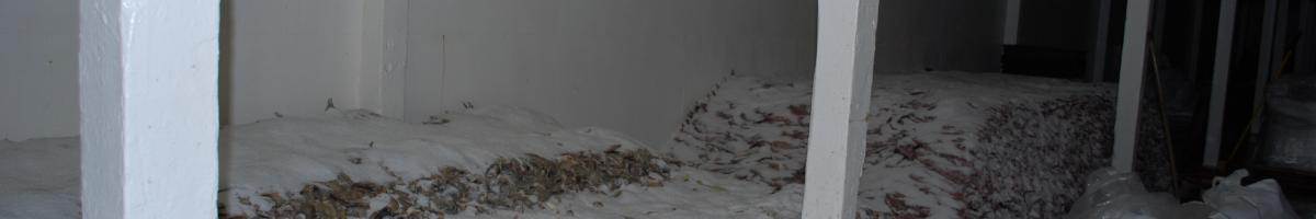 erődök opcióinak lejárati ideje kalapács és hóhér a kereskedelemben